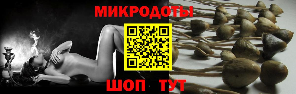 Псилоцибиновые грибы мицелий  Псилоцибиновые грибы ЛСД  Нижний Тагил  Вход с VPN 